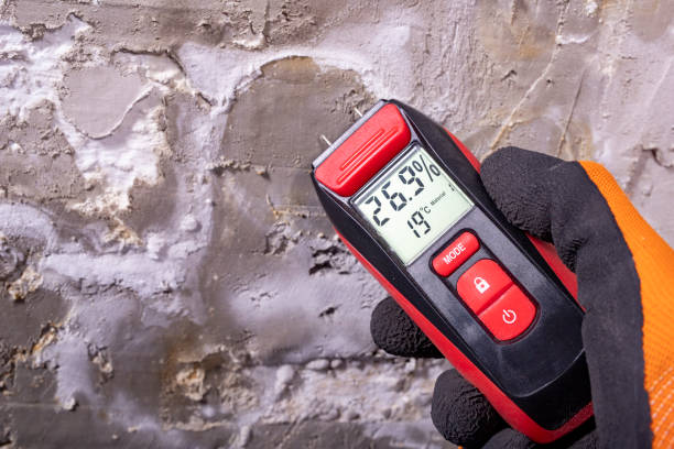 Best Black Mold Removal  in Westbrook Center, CT