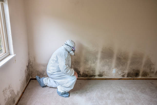 Westbrook Center, CT Mold Removal Company
