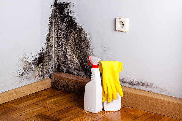 Best Crawl Space Mold Removal  in Westbrook Center, CT